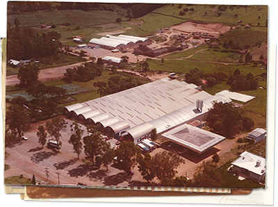 1980