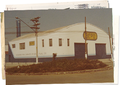 1981